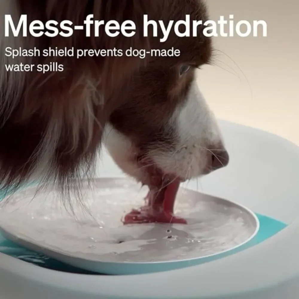 PETLIBRO Water Fountain for Dogs Whirlpool Mess Free Hydration